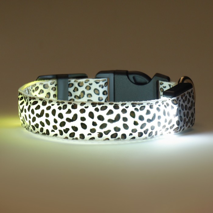 Ошейник с подсветкой Леопард 3 режима свечения, размер S, ОШ 22-40 х 2,5 см белый