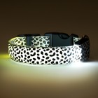Ошейник с подсветкой Леопард 3 режима свечения, размер S, ОШ 22-40 х 2,5 см белый - фото 9420363