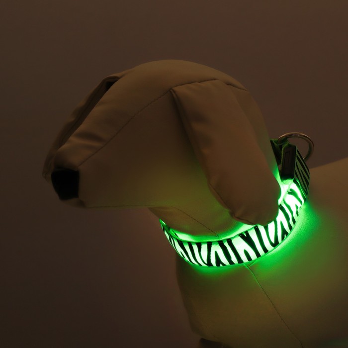 Ошейник с подсветкой Тигр 3 режима свечения размер S, ОШ 22-40 х 2,5 см зелёный