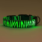 Ошейник с подсветкой Тигр 3 режима свечения размер S, ОШ 22-40 х 2,5 см зелёный - фото 9420376
