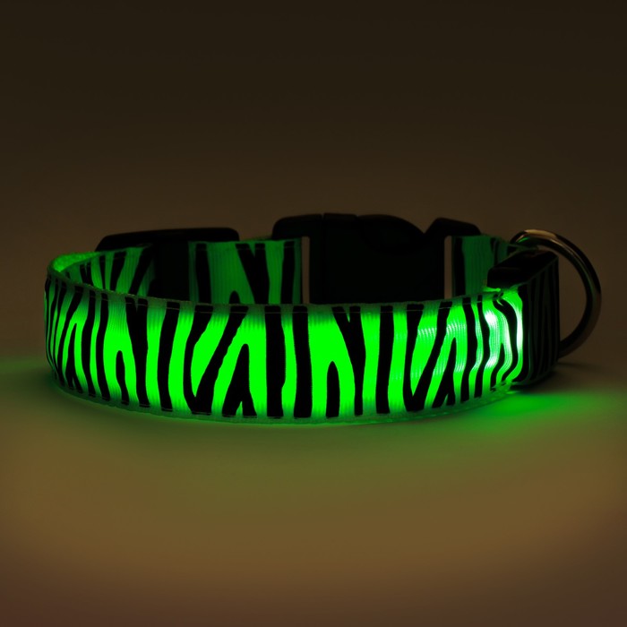 Ошейник с подсветкой Тигр 3 режима свечения размер S, ОШ 22-40 х 2,5 см зелёный