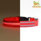 Ошейник с подсветкой Двойная полоса размер S, ОШ 35-43×2.5 см, 3 режима свечения красный - Фото 1