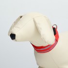 Ошейник с подсветкой Двойная полоса размер S, ОШ 35-43×2.5 см, 3 режима свечения красный - Фото 3