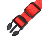 Ошейник с подсветкой Двойная полоса размер S, ОШ 35-43×2.5 см, 3 режима свечения красный - Фото 8