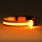 Ошейник с подсветкой Двойная полоса размер M, ОШ 40-48 х 2,5 см, 3 режима свечения жёлтый - фото 11180446