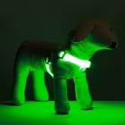 Шлейка светящаяся размер S, стропа 2,5 см, ОГ 32-40 см, 3 режима свечения зелёная - Фото 8