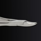 Кусачки педикюрные «Premium», скрытая пружина, изогнутая ручка, 12,5 см, длина лезвия - 17 мм, цвет серебристый - Фото 11