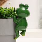 Фигурка для флорариума TAKE IT EASY «Лягушка Квак», декор на кашпо, 10×8×16 см - Фото 4