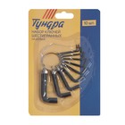 Набор ключей усиленных шестигранных на кольце ТУНДРА, 1.5 - 10 мм, 10 шт. - фото 8245285