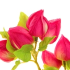 цветы искусственные физалис 85 см d-3 см малиновый - Фото 2