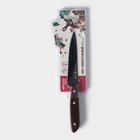 Нож кухонный универсальный Genio BlackStar, лезвие 11 см - фото 4423041