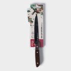 Нож кухонный для нарезки Genio BlackStar, лезвие 12 см - фото 4423045