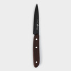 Нож кухонный для овощей Genio BlackStar, лезвие 8 см - Фото 1