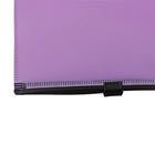 Папка-конверт на ZIP-молнии А4, 180 мкм, ErichKrause "Soft Manga", до 100 листов, МИКС - фото 23832748