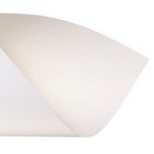 Бумага для черчения А3, 10 листов, блок 200 г/м², ErichKrause "Art", без рамки, в пластиковой папке - Фото 3