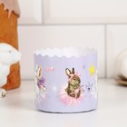 Набор бумажных форм для кулича Деко-про «ХВ Зайцы и утята», 9 видов по 1 штуке - фото 24429888