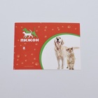 Туалет-домик для кошек закрытый с дверцей 43*32*33 см, серый 10346315 - фото 16657826