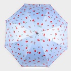 Зонт - трость полуавтоматический «Вишня», эпонж, 8 спиц, R = 51 см, цвет МИКС - фото 9159212