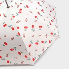 Зонт - трость полуавтоматический «Вишня», эпонж, 8 спиц, R = 51 см, цвет МИКС - Фото 10