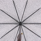 Зонт - трость полуавтоматический «Леопард», эпонж, 10 спиц, R = 50 см, цвет МИКС - Фото 15