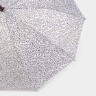 Зонт - трость полуавтоматический «Леопард», эпонж, 10 спиц, R = 50 см, цвет МИКС - фото 9159257