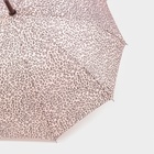 Зонт - трость полуавтоматический «Леопард», эпонж, 10 спиц, R = 50 см, цвет МИКС - Фото 9