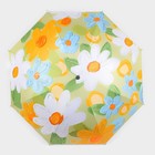 Зонт механический «Цветочный букет», эпонж, 4 сложения, 8 спиц, R = 49 см, цвет МИКС - Фото 8