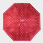 Зонт полуавтоматический «Узор», эпонж, 3 сложения, 8 спиц, R = 48 см, цвет МИКС - Фото 7