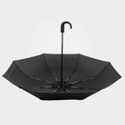 Зонт полуавтоматический «Гром», эпонж, 3 сложения, 8 спиц, R = 48 см, цвет чёрный - Фото 9