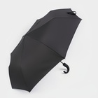Зонт полуавтоматический «Мрак», эпонж, 3 сложения, 8 спиц, R = 47 см, цвет чёрный - фото 9184644