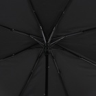 Зонт полуавтоматический «Мрак», эпонж, 3 сложения, 8 спиц, R = 47 см, цвет чёрный - фото 9184647