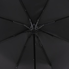 Зонт полуавтоматический «Гроза», эпонж, 3 сложения, 8 спиц, R = 47 см, цвет чёрный - фото 9184654
