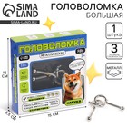 Головоломка металлическая «Харука» - Фото 1