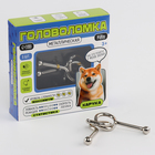 Головоломка металлическая «Харука» - Фото 5