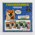 Головоломка металлическая «Харука» - Фото 2