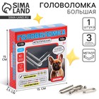 Головоломка металлическая «Диззи» - Фото 1