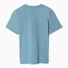 Футболка мужская, цвет голубой, размер 48 10350712