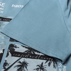 Футболка мужская, цвет голубой, размер 52 10350714