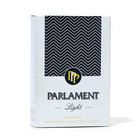 Туалетная вода для мужчин Parlament light, 100 мл - фото 23824455