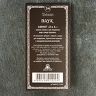 Амулет защитный "Паук", 40х40мм, металлический (комплект 2 шт) - фото 23793108