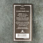 Амулет защитный "Солнечный узел", 30х30мм, металлический - фото 23793120