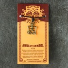 Амулет защитный "Чоу" № 10, 18х23мм, металлический - фото 23803515