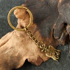 Амулет защитный "Чоу" № 10, 18х23мм, металлический - фото 23803516