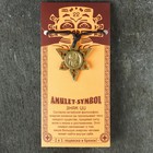 Амулет защитный "Знак Ци" № 22, 32х30мм, металлический - фото 23803521