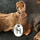 Амулет «Скандинавские Руны», руна ХАГАЛАЗ, 21×29мм, металлический 10350236