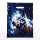 Пакет «Волк», полиэтиленовый с вырубной ручкой, 30?40 см, 50 мкм (комплект 20 шт) - фото 67926553