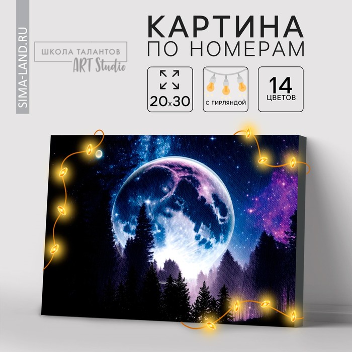 

Картина по номерам с подрамником и гирляндой «Космос», 20 х 30 см