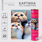 Картина по номерам в тубусе «Котята», 30 х 40 см - фото 321198520