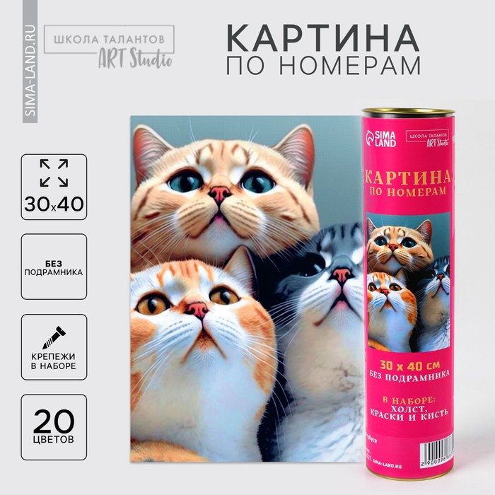 Картина по номерам в тубусе «Котята», 30 х 40 см