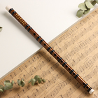 Флейта Music Life 48 см, бамбук, тональность G - фото 297102478